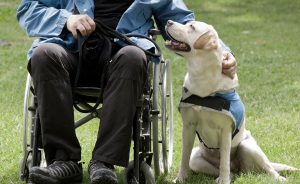 Disability Insurance